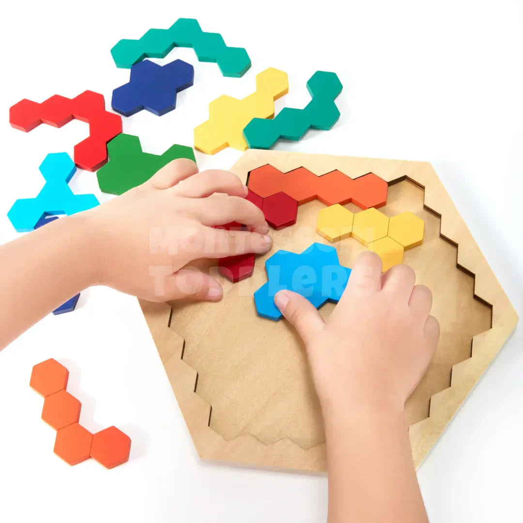 Wooden Hexagon Puzzle - Kicks & Crawls
